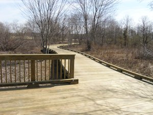 South County Library Wetland Trail - Roanoke, VA