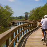 Photo Gallery – Boardwalks by Bridge Builders