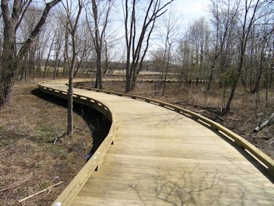 Timber Boardwalk Design and Construction by Bridge Builders